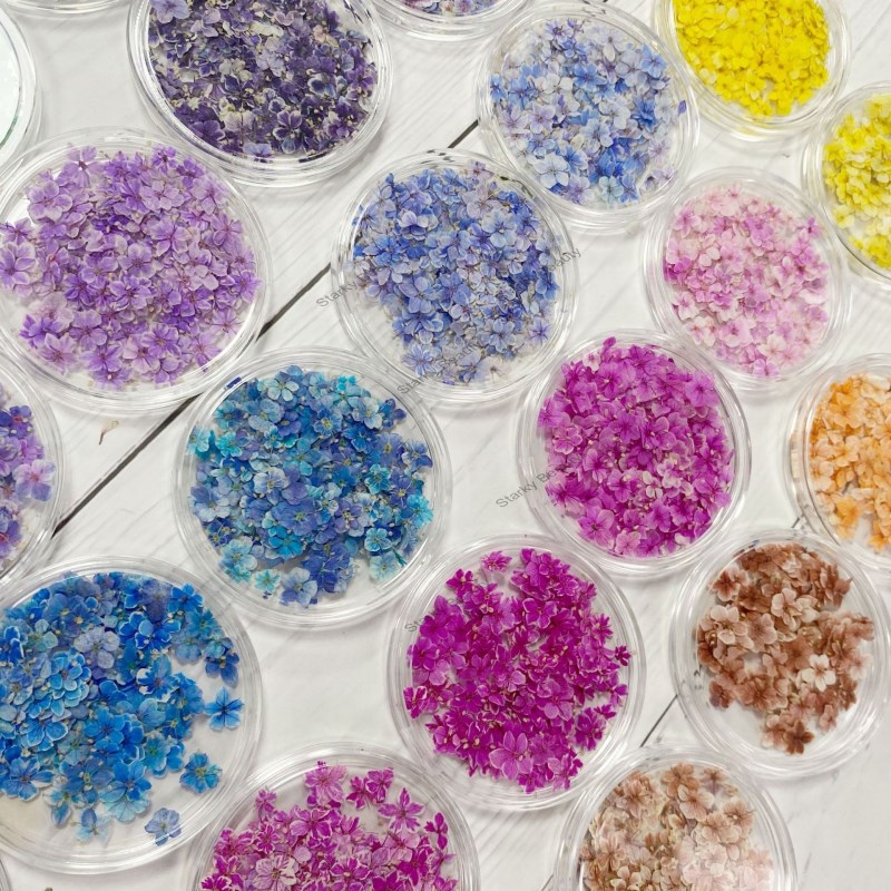 Japanese nail art small floral prints, dried flower embroidery, DIY nail art flower(50pcs/jar)