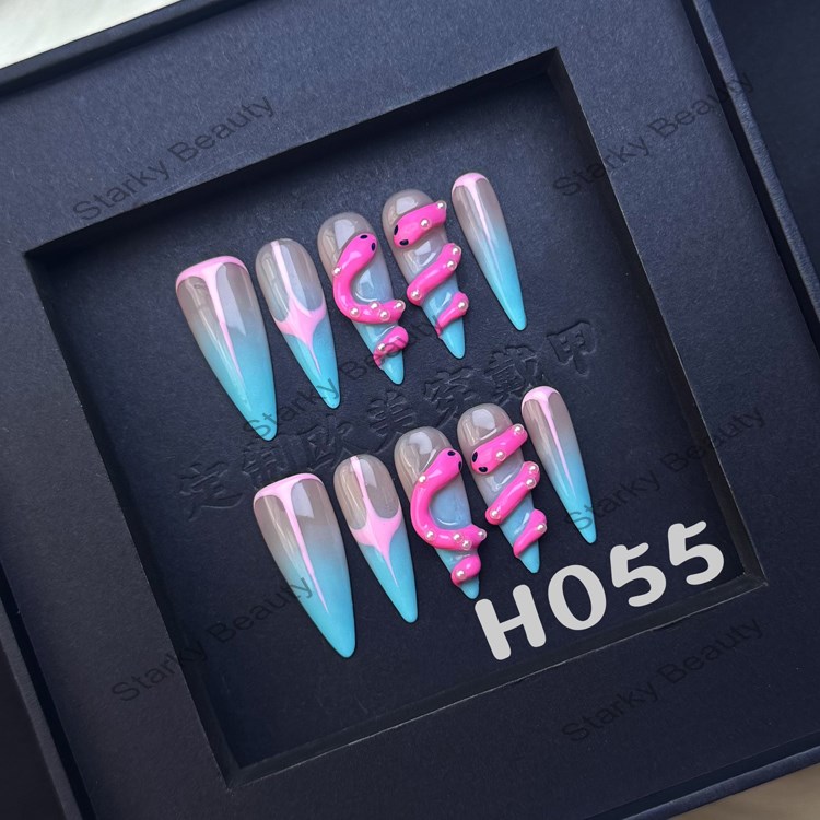 H055