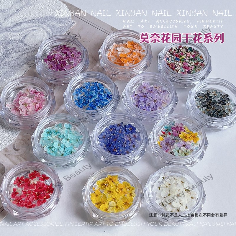 nail art dry flower small floral multicolor mixed DIY material natural fresh nail ornament