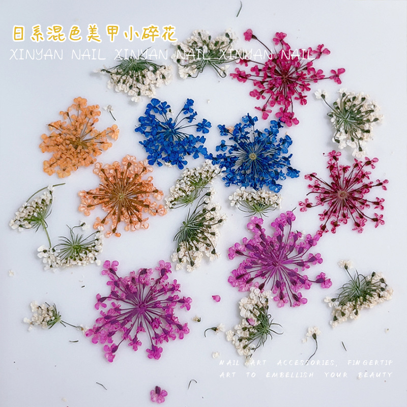 japanese fresh nail accessories mixed with natural lace dried flowers diy nail accessories